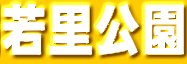 �ᗢ����