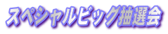 �X�y�V�����r�b�O���I��