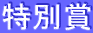 ���ʏ�